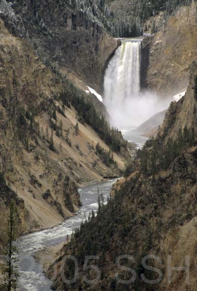 Yellowstone_3440